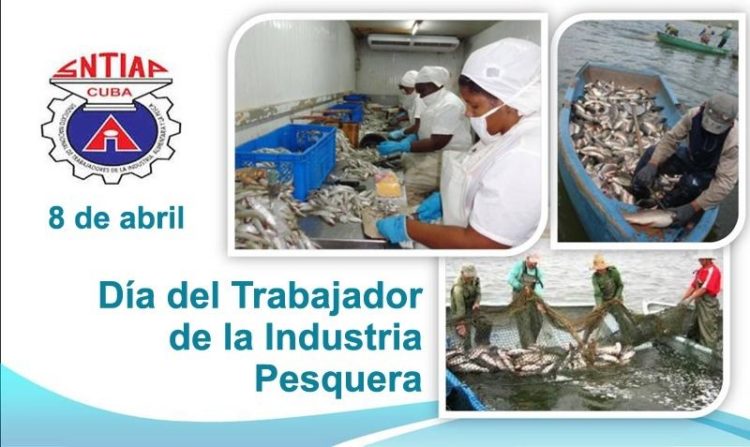 Trabajadores del sector pesquero celebran